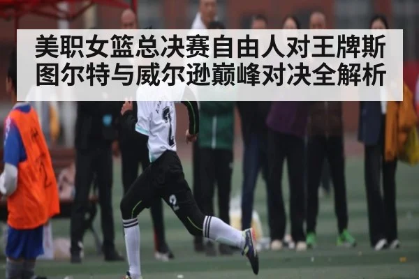 美职女篮总决赛自由人对王牌斯图尔特与威尔逊巅峰对决全解析